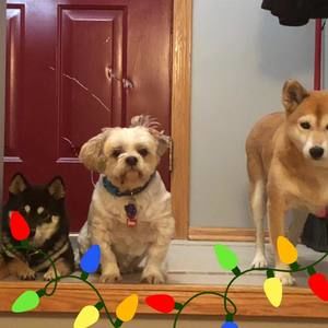 Meet your Posher, Jody